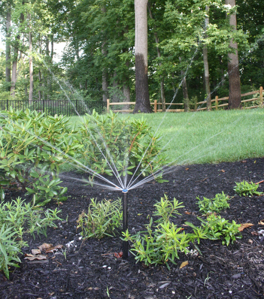 plants in a black mulched bed with Sir Sprinkler Irrigation System | Burkholder Landscape