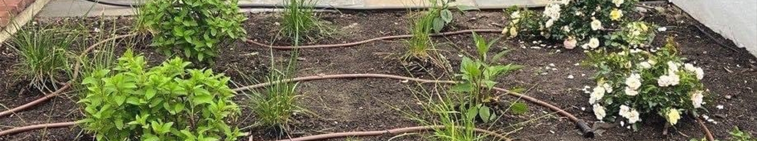 Drip Micro irrigation system - Burkholder Landscape