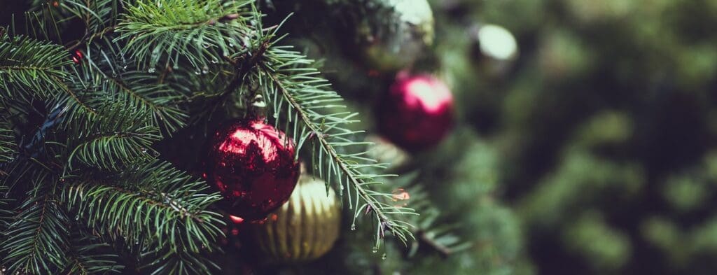 christmas-tree-holiday-tips-burkholder-holiday-market-1400