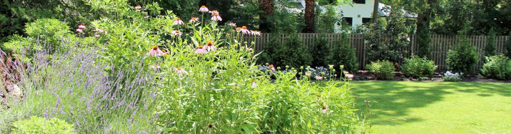 Beautiful Bulb Flowers for summer landscapes | Burkholder Landscape