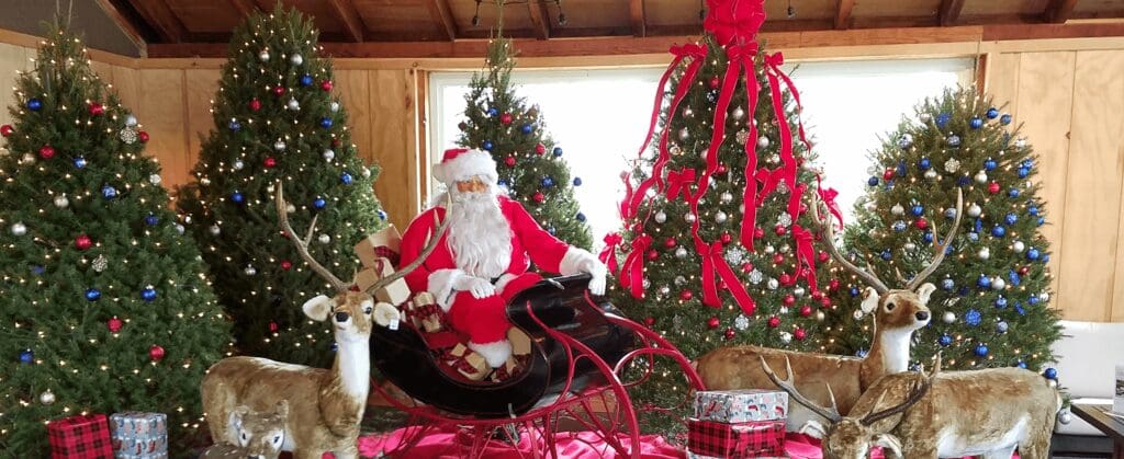 photo with santa