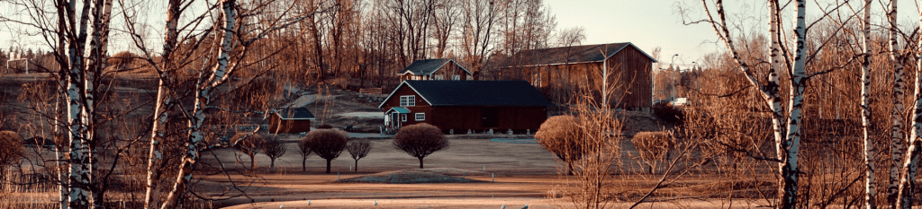 home landscape with river birch trees - best time to prune river birch trees - Burkholder PHC