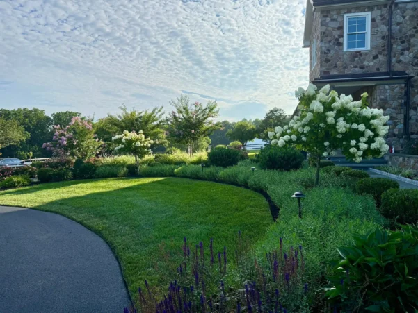 Landscape Installation in Malvern, PA