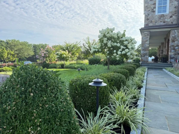 Malvern, PA Plant Health Care Services