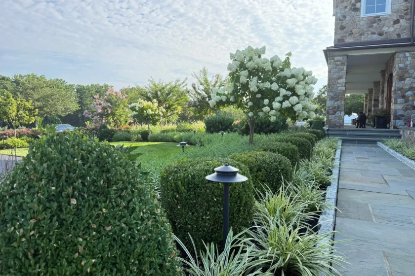 Malvern, PA Plant Health Care Services