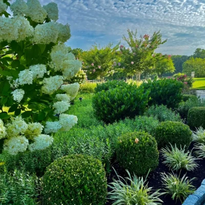 Landscape Installation in Malvern, PA