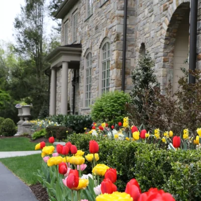 Landscape Maintenance Services in Malvern, PA