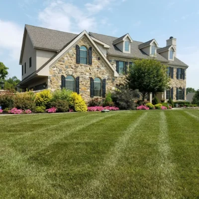 Maintenance---Prince-lawn-a-beds--(3)
