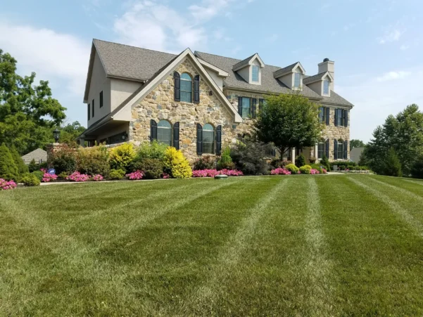 Maintenance---Prince-lawn-a-beds--(3)