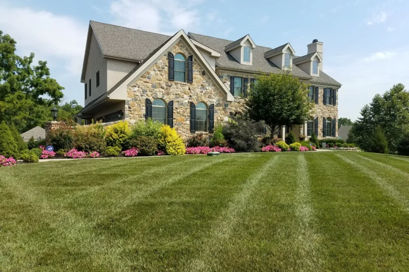 Maintenance---Prince-lawn-a-beds--(3)