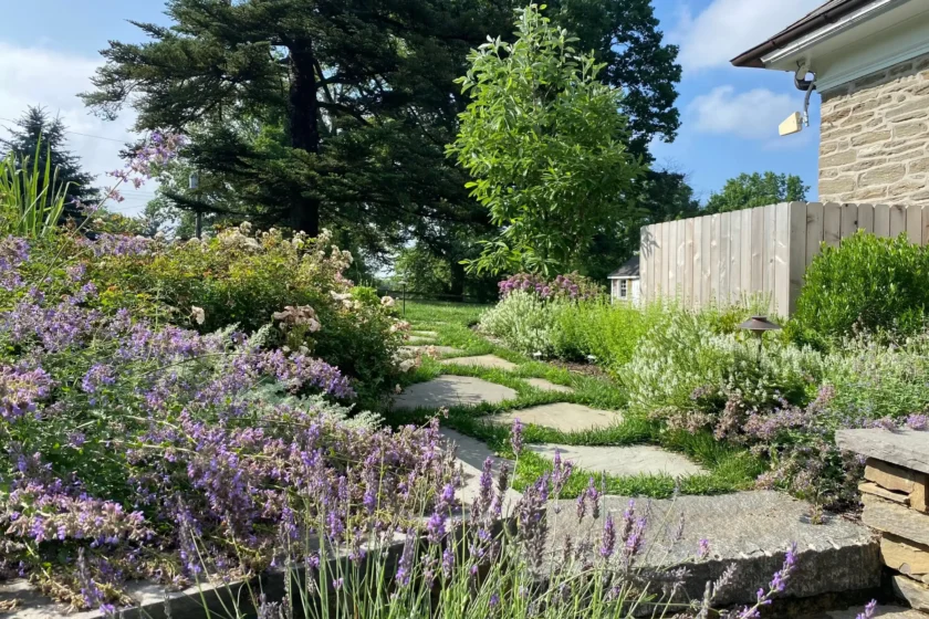 Plant layers with path