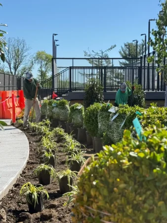 Malvern, PA Commercial Landscaping Companies