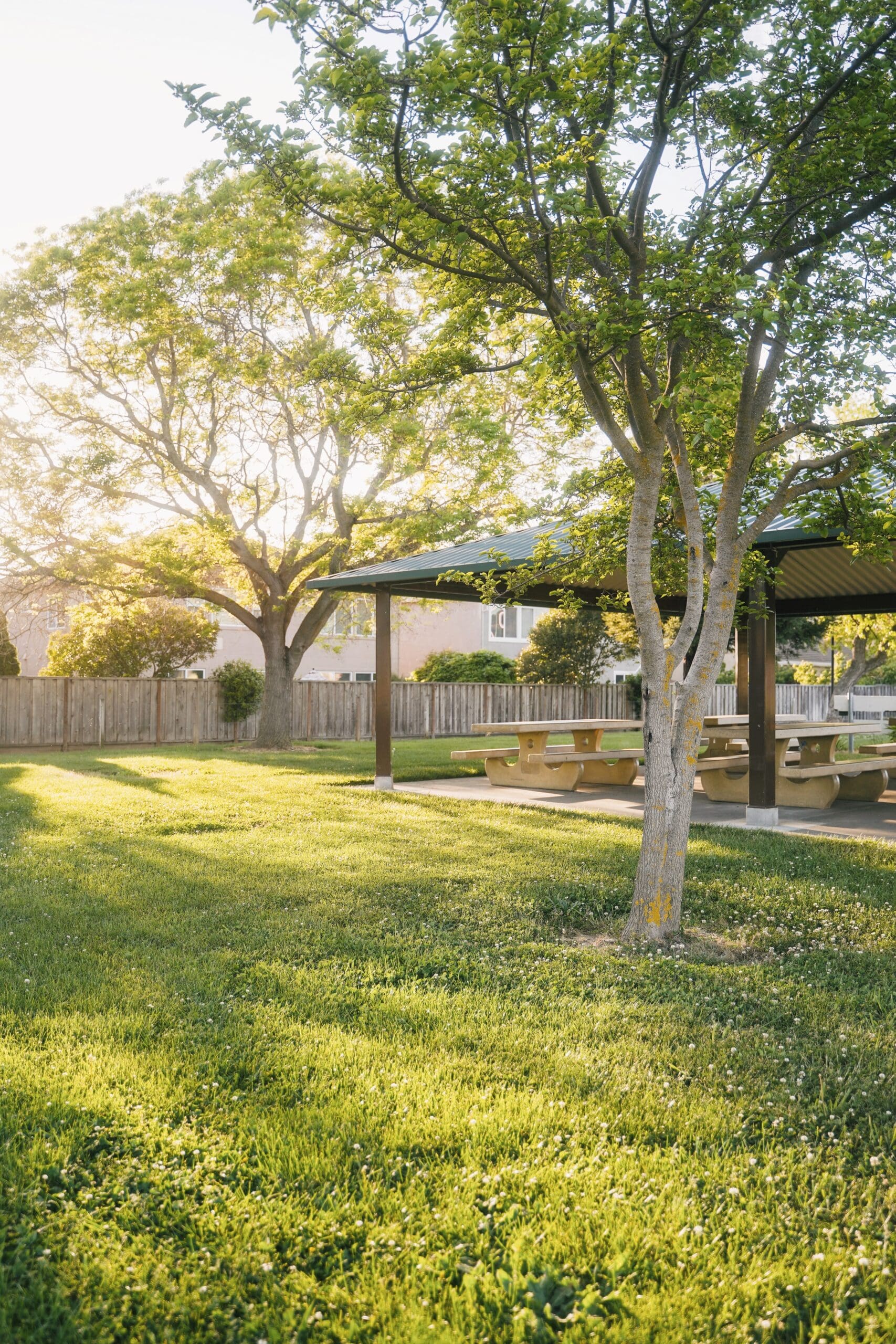 Plant Pest Management in Malvern, PA