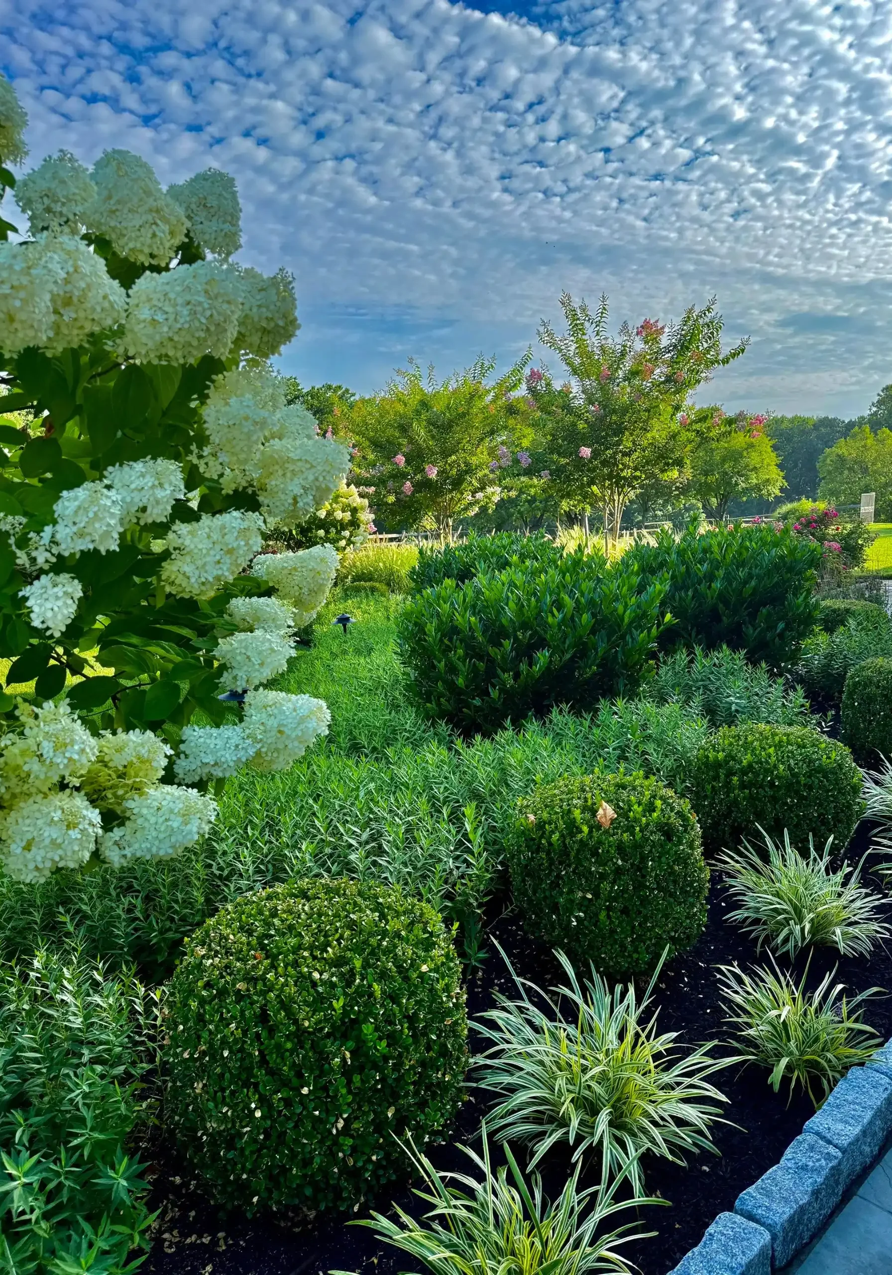 Landscape Installation in Malvern, PA
