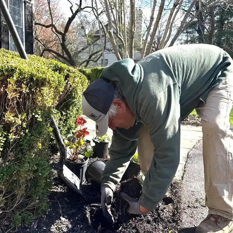Planting